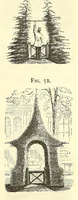 Picture 4 of 15 from The art of beautifying suburban home grounds of small extent : the advantages of suburban homesover city or country homes; the comfort and economy of neighboring improvements; the choice and tre atment of building sites; and the best modes of laying out, planting, and keeping decorated grounds.Illustrated by upwards of two hundred plates and engravings ... With descriptions of the beautiful and hardy trees and shrubs grown in the United States (1870), leaf 131