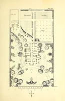 Picture 6 of 15 from The art of beautifying suburban home grounds of small extent : the advantages of suburban homesover city or country homes; the comfort and economy of neighboring improvements; the choice and tre atment of building sites; and the best modes of laying out, planting, and keeping decorated grounds.Illustrated by upwards of two hundred plates and engravings ... With descriptions of the beautiful and hardy trees and shrubs grown in the United States (1870), leaf 235