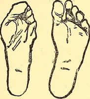 Picture 28 of 77 from The art of beauty (1883), leaf 110