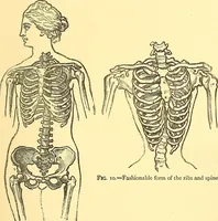 An illustration from The art of beauty (1883)