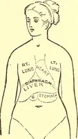 An illustration from The art of beauty (1883)