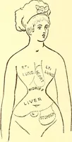 An illustration from The art of beauty (1883)