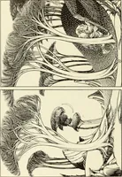 An illustration from The art of the book (1914)
