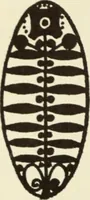 An illustration from The art of the book (1914)