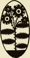An illustration from The art of the book (1914)