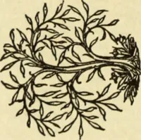 An illustration from The art of the book (1914)