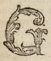 An illustration from The art of contentment (1675)