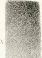 An illustration from The art of drawing on stone, giving a full explanation of the various styles, of the different methods to be employed to ensure success, and of the modes of correcting, as well as of the several causes of failure (1833)