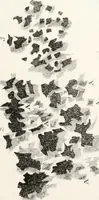 An illustration from The art of drawing on stone, giving a full explanation of the various styles, of the different methods to be employed to ensure success, and of the modes of correcting, as well as of the several causes of failure (1833)