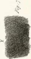 An illustration from The art of drawing on stone, giving a full explanation of the various styles, of the different methods to be employed to ensure success, and of the modes of correcting, as well as of the several causes of failure (1833)