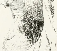 An illustration from The art of drawing on stone, giving a full explanation of the various styles, of the different methods to be employed to ensure success, and of the modes of correcting, as well as of the several causes of failure (1833)