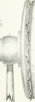 An illustration from The art of drawing on stone, giving a full explanation of the various styles, of the different methods to be employed to ensure success, and of the modes of correcting, as well as of the several causes of failure (1833)