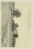 An illustration from The art of Dwight W. Tryon : an appreciation (1909)