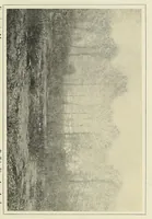 An illustration from The art of Dwight W. Tryon : an appreciation (1909)
