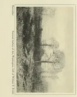 Picture 6 of 8 from The art of Dwight W. Tryon : an appreciation (1909), leaf 77