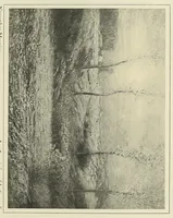 An illustration from The art of Dwight W. Tryon : an appreciation (1909)