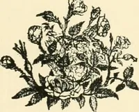 An illustration from The art of England, lectures given in Oxford (1889)