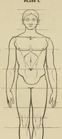 An illustration from The art of figure drawing : containing practical instructions for a course of study in this branch of art (1852)