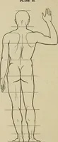 An illustration from The art of figure drawing : containing practical instructions for a course of study in this branch of art (1852)