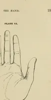 An illustration from The art of figure drawing : containing practical instructions for a course of study in this branch of art (1852)