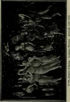 An illustration from The art of Florence, an interpretation (1912)
