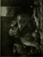 An illustration from The art of Florence, an interpretation (1912)
