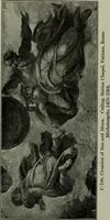 An illustration from The art of Florence, an interpretation (1912)