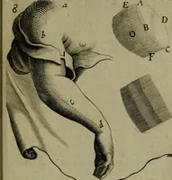 Picture 10 of 13 from The art of graueing, and etching, wherein is exprest the true way of graueing in copper. Allso the manner & method of that famous Callot, & Mr. Bosse, in their seuerall ways of etching (1662), leaf 50