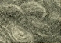 Picture 51 of 188 from The art of the great masters, as exemplified by drawings in the collection of Émile Wauters, membre de l'Académie royale de Belgique (1913), leaf 104