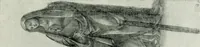 Picture 6 of 188 from The art of the great masters, as exemplified by drawings in the collection of Émile Wauters, membre de l'Académie royale de Belgique (1913), leaf 26