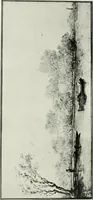 Picture 145 of 188 from The art of the great masters, as exemplified by drawings in the collection of Émile Wauters, membre de l'Académie royale de Belgique (1913), leaf 269