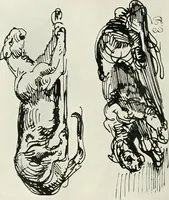 Picture 176 of 188 from The art of the great masters, as exemplified by drawings in the collection of Émile Wauters, membre de l'Académie royale de Belgique (1913), leaf 319