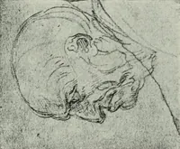 Picture 21 of 188 from The art of the great masters, as exemplified by drawings in the collection of Émile Wauters, membre de l'Académie royale de Belgique (1913), leaf 52