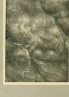 Picture 49 of 188 from The art of the great masters, as exemplified by drawings in the collection of Émile Wauters, membre de l'Académie royale de Belgique (1913), leaf 95
