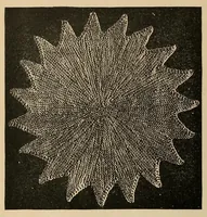 An illustration from The Art of knitting (1892)