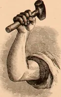 An illustration from The art of lettering and sign painter’s manual : a complete and practical illustration of the art of sign writing / by A. P. Boyce (1878)