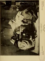 An illustration from The art of the Netherland galleries : being a history of the Dutch school of painting illuminated and demonstrated by critical descriptions of the great paintings in the many galleries (1908)