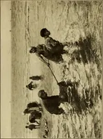 An illustration from The art of the Netherland galleries : being a history of the Dutch school of painting illuminated and demonstrated by critical descriptions of the great paintings in the many galleries (1908)