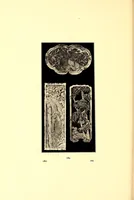 An illustration from Art of old Japan, rare specimens of pewter, carvings in jade and other stones and wood. Many lanterns from famous palace and temple grounds, fine gold lacquers and other scarce objects : selected by the well-known Japanese connoisseur Bunkio Matsuki (1904)
