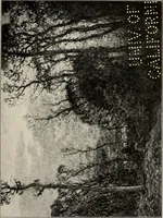 An illustration from The art of painting in the nineteenth century (1908)