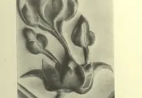 Picture 5 of 8 from The art of the plasterer; an account of the decorative development of the craft, chiefly in England, from the 16th to the 18th century, with chapters on the stucco of the classic period and of the Italian Renaissance, also on sgraffito, pargetting, Scottish, Irish and modern plasterwork (1908), leaf 167