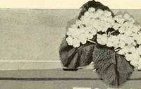 Picture 85 of 155 from The art of show card writing; a modern treatise on show card writing, designed as an educator in all branches of the art...With two hundred and fifty-six illustrations and thirty-two lettering plates, comprising all the standard ancient and modern styles (1907), leaf 131