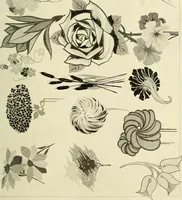 An illustration from The art of show card writing; a modern treatise on show card writing, designed as an educator in all branches of the art...With two hundred and fifty-six illustrations and thirty-two lettering plates, comprising all the standard ancient and modern styles (1907)