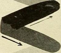 An illustration from The art of show card writing; a modern treatise on show card writing, designed as an educator in all branches of the art...With two hundred and fifty-six illustrations and thirty-two lettering plates, comprising all the standard ancient and modern styles (1907)