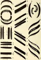 Picture 20 of 155 from The art of show card writing; a modern treatise on show card writing, designed as an educator in all branches of the art...With two hundred and fifty-six illustrations and thirty-two lettering plates, comprising all the standard ancient and modern styles (1907), leaf 35