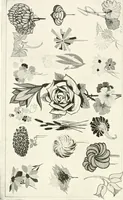 An illustration from The art of show card writing; a modern treatise covering all branches of the art ... with one hundred and fifty-three illustrations and thirty-two lettering plates, comprising all the standard ancient and modern styles (1922)