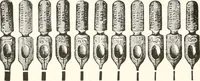 An illustration from The art of show card writing; a modern treatise covering all branches of the art ... with one hundred and fifty-three illustrations and thirty-two lettering plates, comprising all the standard ancient and modern styles (1922)
