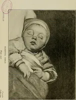 An illustration from The art of the Vienna galleries : giving a brief history of the public and private galleries of Vienna, with a critical description of the paintings therein contained. (1911)