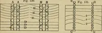 An illustration from The art of weaving, by hand and by power, with an introductory account of its rise and progress in ancient and modern times (1844)