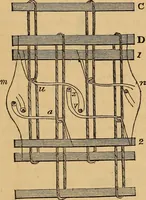 Picture 29 of 182 from The art of weaving, by hand and by power (1844), leaf 154